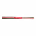 SLINGTING SKATEBOARD SLING - STRIPED GREEN (RED EMBROIDERY)